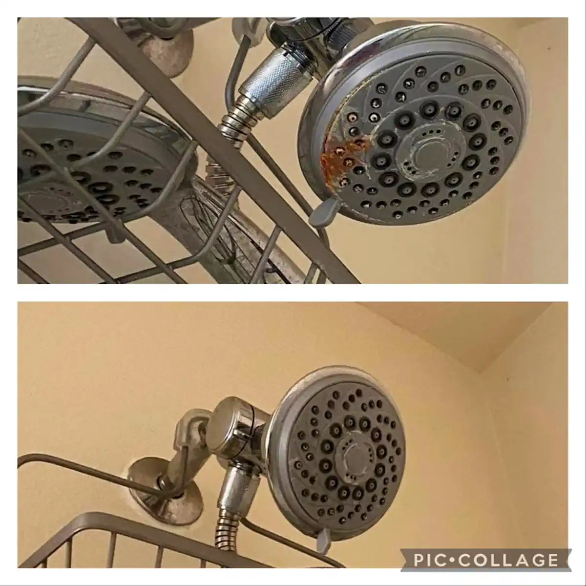 clean shower head - before and after