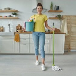 Cleaning your Cleaning Supplies - Mulberry Maids Blog 